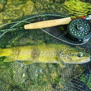 France-voyage-peche-mouche-01