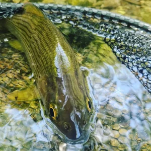 France-voyage-peche-mouche