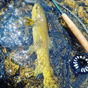 France-voyage-peche-mouche