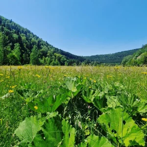 France-voyage-peche-mouche