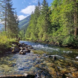 Voyage de pêche à la mouche en Autriche