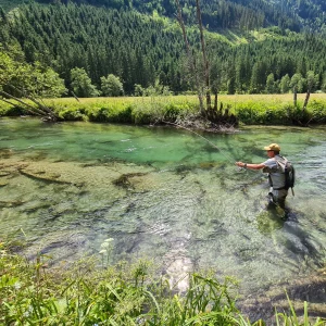 Voyage de pêche à la mouche en Autriche