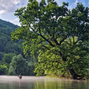 Voyage de pêche à la mouche en Bosnie