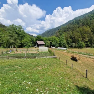 Voyage de pêche à la mouche en Slovénie
