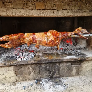 Voyage de pêche à la mouche en Slovénie