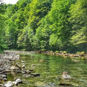 Voyage de pêche à la mouche en Slovénie