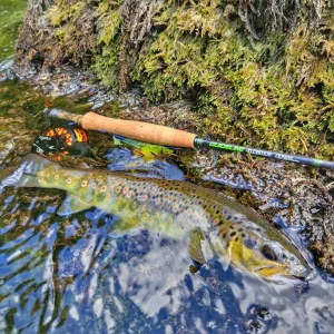Voyage de pêche à la mouche en Slovénie