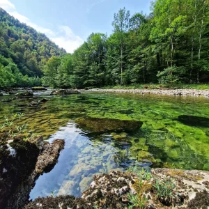 Voyage de pêche à la mouche en Slovénie