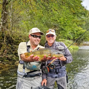 Voyage de pêche à la mouche en Slovénie