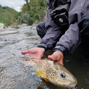 Voyage de pêche à la mouche en Italie dans les Dolomites