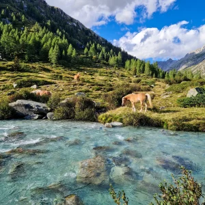Voyage de pêche à la mouche en Italie dans les Dolomites