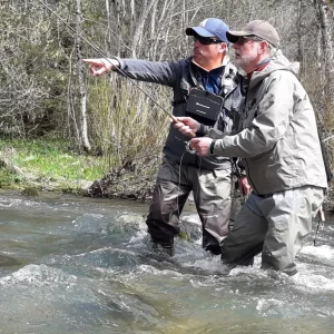 STAGE PERFORMANCE / FISH AND TRIP