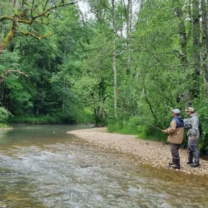 STAGE PERFORMANCE / FISH AND TRIP