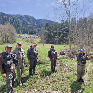 STAGE PERFORMANCE / FISH AND TRIP