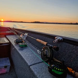 STAGE PERFORMANCE / FISH AND TRIP