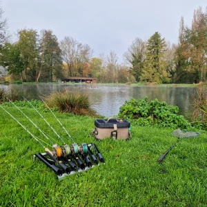 STAGE PERFORMANCE / FISH AND TRIP