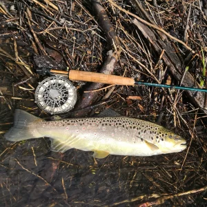 Voyage de pêche à la mouche en Slovénie
