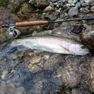 Voyage de pêche à la mouche en Slovénie